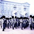 Buckingham Palace  
