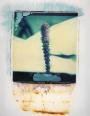Green  polaroid, polaroid grossformat, photo by werner pawlok, unikat, fine art photography, art, kunst, fotografie, akt, flowers, nature
