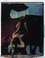 Laurie - mit roter Seide II  polaroid, polaroid grossformat, photo by werner pawlok, unikat, fine art photography, art, kunst, fotografie, akt, halbakt