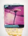 Purple  polaroid, polaroid grossformat, photo by werner pawlok, unikat, fine art photography, art, kunst, fotografie, flowers, nature