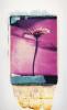 Purple polaroid, polaroid grossformat, photo by werner pawlok, unikat, fine art photography, art, kunst, fotografie, flowers, nature