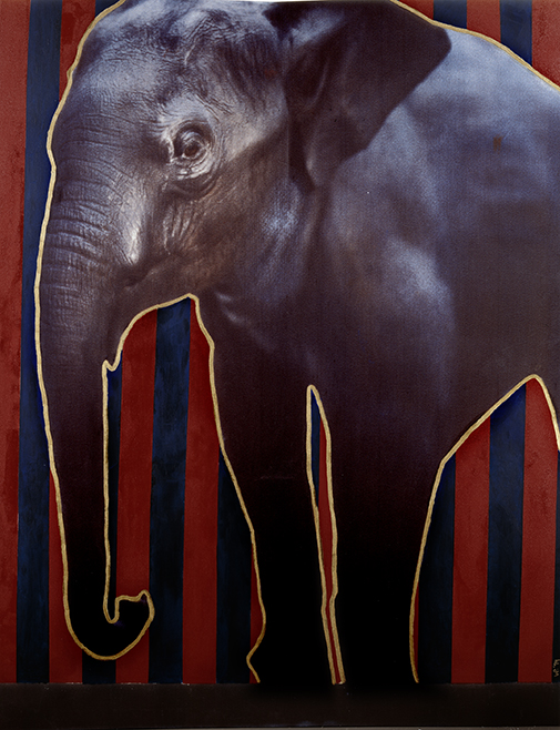 Elefant Polaroid 50x60; Werner Pawlok; Polaroid Fotografie; Crying Animals; Elefant;