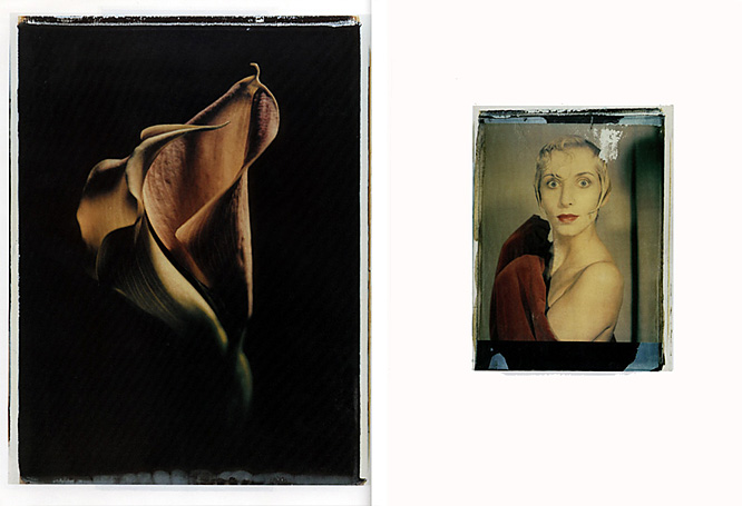 Photographie page 3 Photographie, Werner Pawlok, Photography Paintings, Polaroid 50x60, Polaroid Photography,