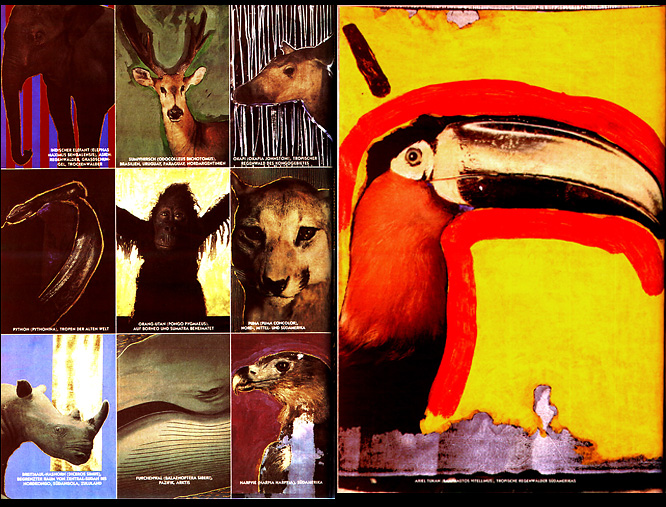 MAX page 4 Max, Werner Pawlok, Crying Animals, Transfers, Polaroid 50x60, Polaroid Photography,