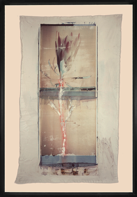 Flower Painting Flower Painting; Polaroid 50x60; Polaroid Transfers; Photo by Werner Pawlok; Unikat; 
