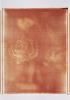 0857 Verwelkte Rosen mit rot II Monochrome, Polaroid, Werner Pawlok