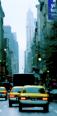 1761 Cabs in New York II