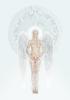 Angel The Myth; Werner Pawlok; Angel;