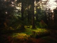 Benmore XI