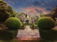 Birmingham Botanical Garden V