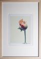 Blumen III Mohnbluete