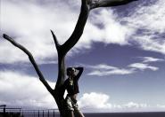 Cape Town 1