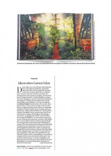 Der Standard