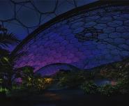Eden Project VIII