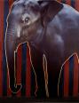 Elefant