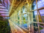 Großes Palmenhaus Schönbrunn III 