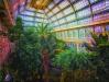 Großes Palmenhaus Schönbrunn VIII  Greenhouses, Cathedrals for Plants, Werner Pawlok
