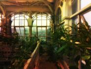 Großes Palmenhaus Schönbrunn VI 