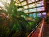 Großes Palmenhaus Schönbrunn V  Greenhouses, Cathedrals for Plants, Werner Pawlok
