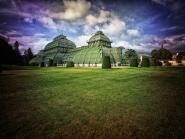 Großes Palmenhaus Schönbrunn XXVII