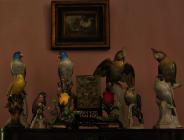 House of Alonso (birds) - Havana