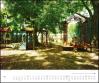 June 2021 Dumont Kalender New Orleans 2021, Werner Pawlok