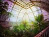 Kew Garden VII  Greenhouses, Cathedrals for Plants, Werner Pawlok