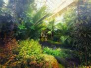 Kew Garden V 