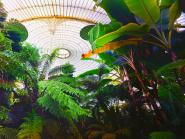 Kibble Palace Glasgow VII 