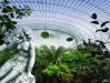 Kibble Palace Glasgow V  Greenhouses, Cathedrals for Plants, Werner Pawlok