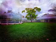 Kibble Palace Glasgow X 