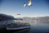 Lake Maggiore 3 Lake Garda, Garda See, photo by Werner Pawlok, Italy, Italien, lakeview
