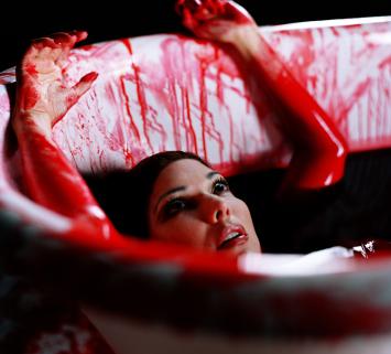 Laura Harring 5