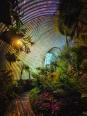 Lednice Palmenhaus XII 