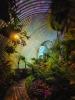 Lednice Palmenhaus XII  Greenhouses, Cathedrals for Plants, Werner Pawlok