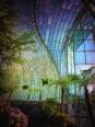 Lednice Palmenhaus XIV 