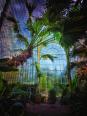 Lednice Palmenhaus XIX