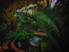 Lednice Palmenhaus XVII  Greenhouses, Cathedrals for Plants, Werner Pawlok