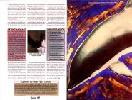 MAX page 2