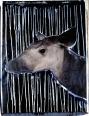 Okapi I