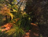 Palmengarten Frankfurt XV 