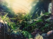 Palmengarten Frankfurt X 