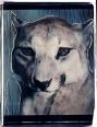 Puma I