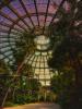 Royal Garden Brussels II Greenhouses, Cathedrals for Plants, Werner Pawlok