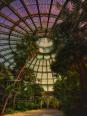 Royal Garden Brussels II