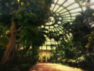 Royal Garden Brussels IX 