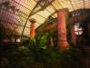 Royal Garden Brussels I  Greenhouses, Cathedrals for Plants, Werner Pawlok