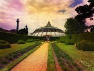 Royal Garden Brussels X