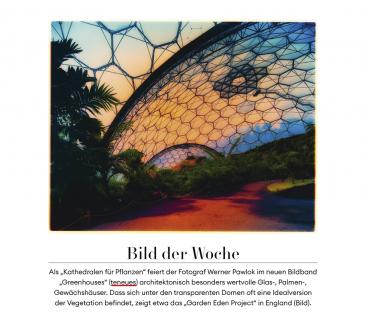 Schaufenster (Die Presse)