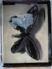 Schmetterling I Polaroid 50x60; Werner Pawlok; Polaroid Fotografie; Crying Animals; Schmetterling I;